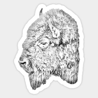 Drawing conversion of a Buffalo head Sticker